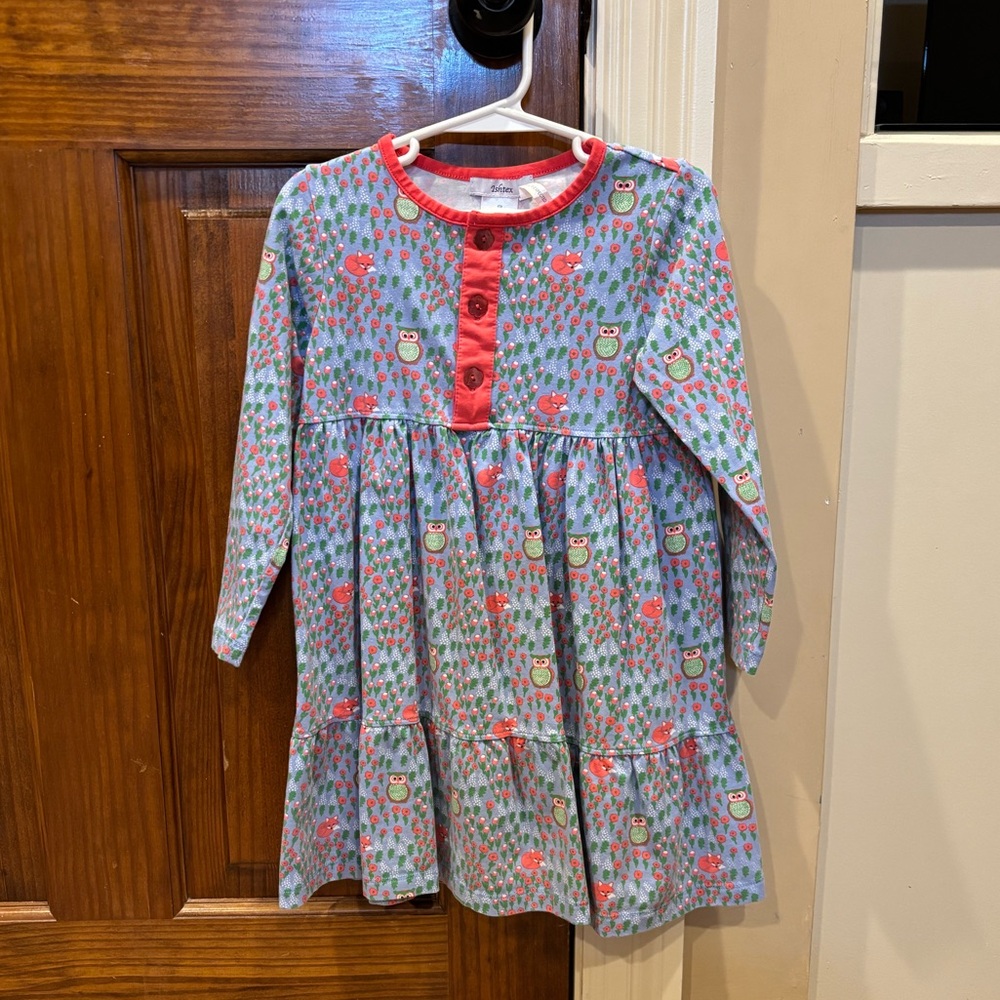 Ishtex Girls' Owl Print Dress with Red Accents (Size: 4T)